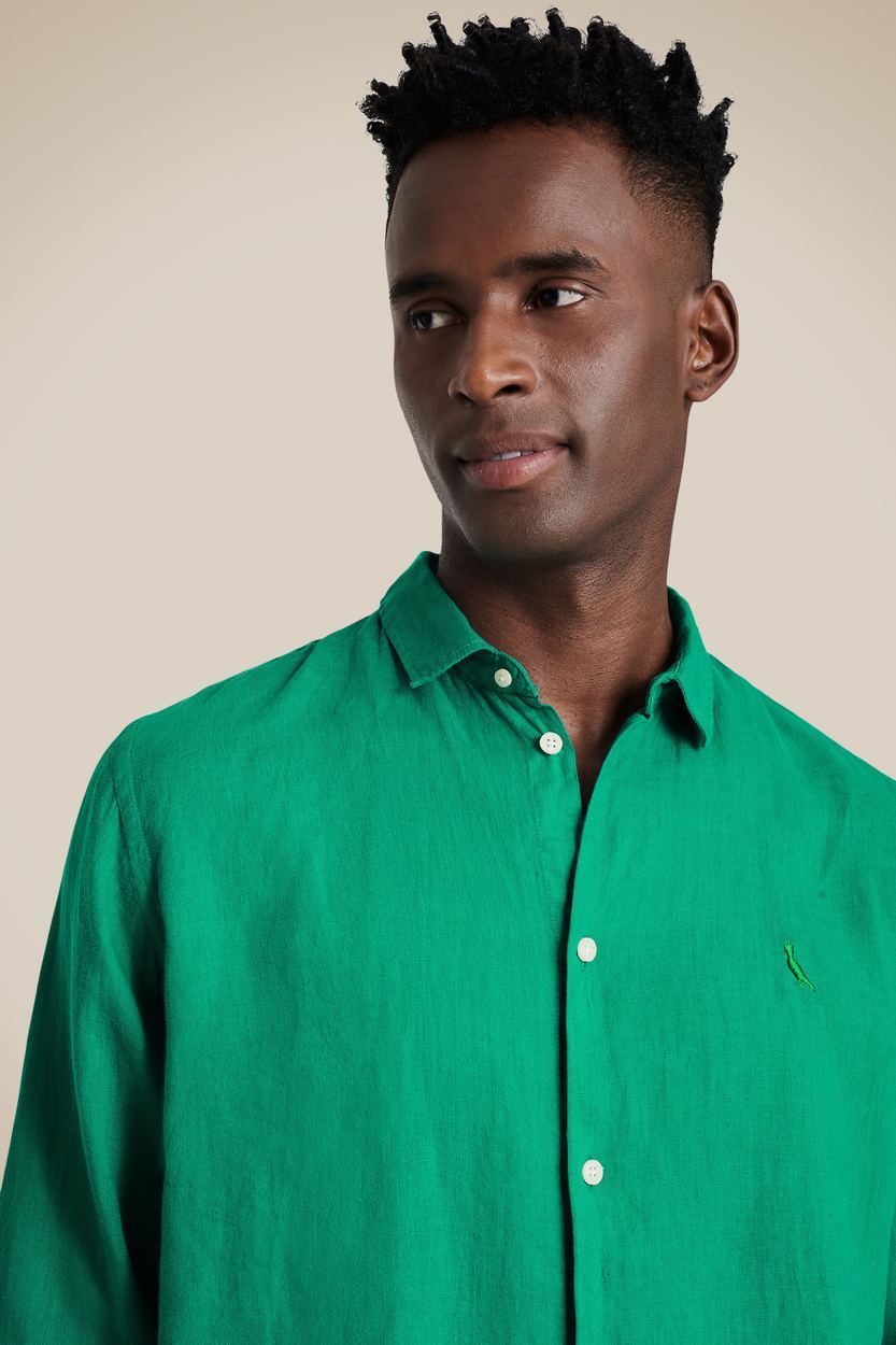 Camisa Pf Ml Linho, cor VERDE BANDEIRA