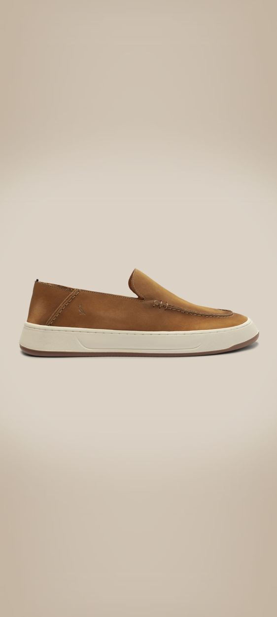 Tenis Rsv Flander, cor AVELA