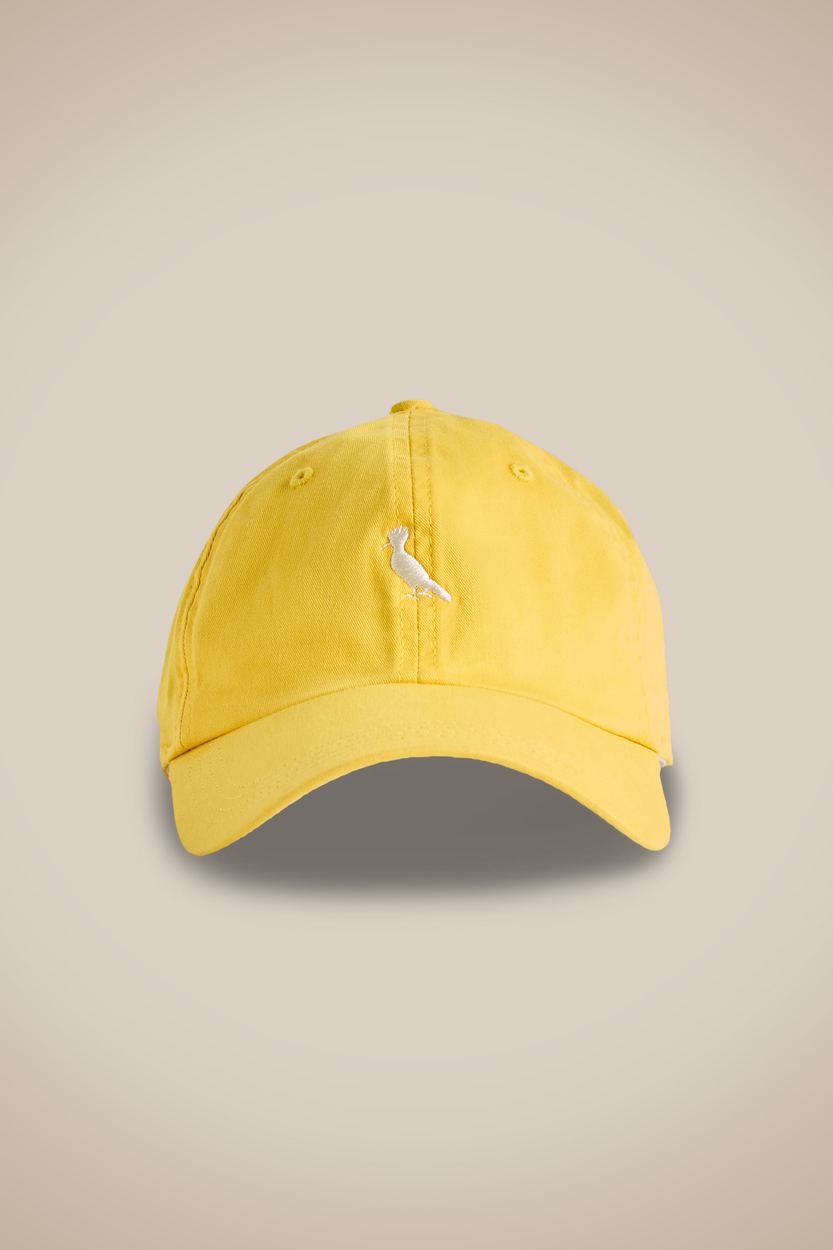 Bone Sarja Color Bordado Pica-pau, cor AMARELO SOL